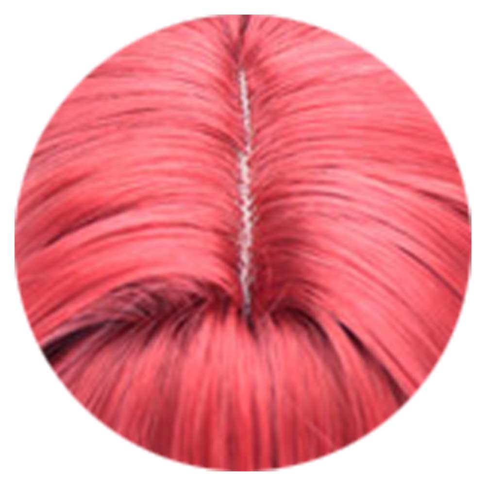 Disguise Makima Cosplay Wig An - Anime Cosplay Makima recension och pris